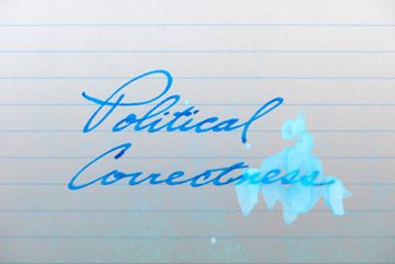 Political Correctness  A whatwereyouthinking.ca feature